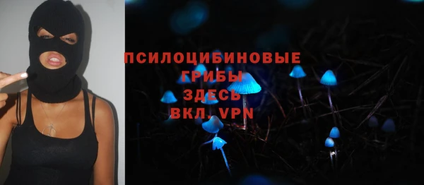 экстази Богородск