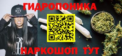 эйфоретик Обь