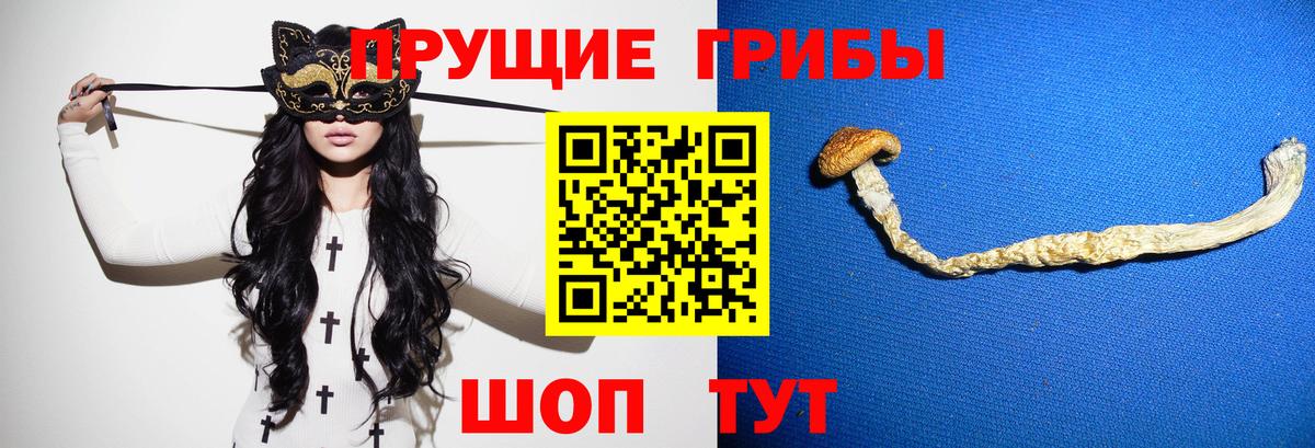 Псилоцибиновые грибы Psilocybe  Псилоцибиновые грибы Psilocybine cubensis  как найти наркотики  Валуйки  Вход с VPN 